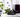 Polyphenols: The Plant Compounds Behind the Color
