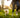 What Are the Best Ways to Protect Your Pets from Outdoor Hazards