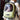 PETKIT Breezy Dome