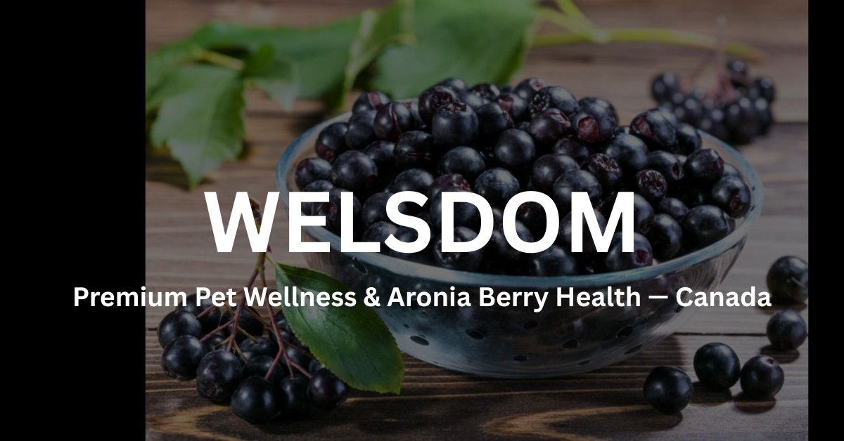 Welsdom Inc. logo