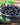 Fresh aronia berries in a bowl on a wooden table — Welsdom Canadian aronia berry juice
